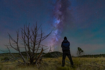 Silhouette of a man by a dead tree staring into the Milky Way core in the Utah West Desert