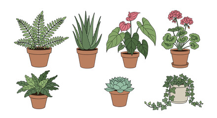 Fototapeta premium Collection of potted houseplants with various leaf shapes and floral elements, illustrated in a simple style.