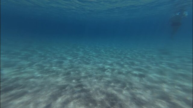 Diving Under Ocean caustics sunlight diving