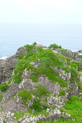 葦毛崎展望台から望む太平洋（青森県）