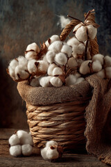 Freshly harvested cotton bolls placed in a woven basket with burlap fabric, rustic natural composition symbolizing farming and harvest season