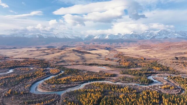 Explore the breathtaking beauty of the Altai mountains in autumn. The aerial view reveals colorful trees, meandering rivers, and majestic peaks against a clear sky.