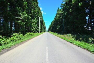 農道に続く一直線の道（青森県）