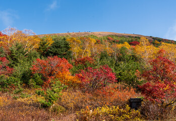 一切経山登山道から秋色の吾妻小富士