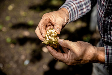 Elderly man's hands holding gold nugget.