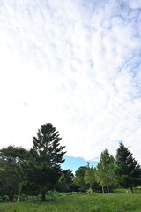 モヤヒルズキャンプ場の穏やかな自然風景（青森市）