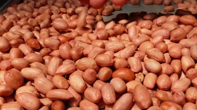 close up of peanuts in the market