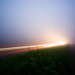 
A long-exposure photograph of plant nutrition in a thick fog, emphasizing motion blur and low visibility. The image should capture light trails and have a misty atmospheric quality