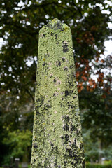 Stone upright, obelisk monument, covered with textured, colorful lichen growth.