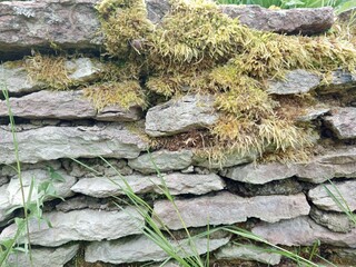 An old stone wall covered with moss
