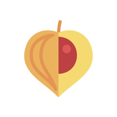 Physalis berries isolated design vector icon