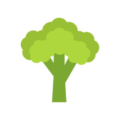 Broccoli isolated vector icon. Vegetable sign