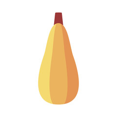 Zucchini isolated vector icon. Vegetable sign