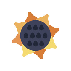 Sunflower outline icon. Vegetable vector