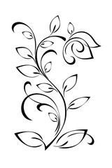 stylized flower on a curved stem with leaves and curls; graphic decor