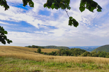 Góry Wałbrzyskie - widok z Przełęczy Pojednania.  Złote pole pszenicy z łagodnymi wzgórzami pod jasnym niebem, fotografia spokojnego wiejskiego krajobrazu, słoneczna preria. © Pol Badger
