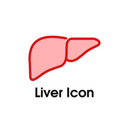 Liver Icons Vector