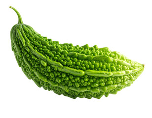 Isolated Fresh Organic Bitter Melon, Close-Up, Healthy Vegetable Ingredient, Transparent Background