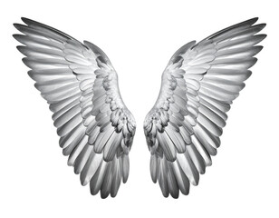 Metallic Silver Wings with Shiny Finish, Symbolizing Freedom, Isolated on Transparent Background