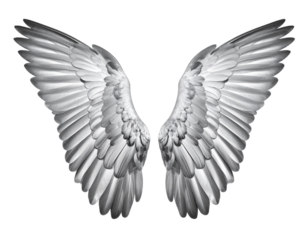 Metallic Silver Wings with Shiny Finish, Symbolizing Freedom, Isolated on Transparent Background
