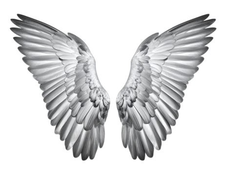 Metallic Silver Wings with Shiny Finish, Symbolizing Freedom, Isolated on Transparent Background - Powered by Adobe