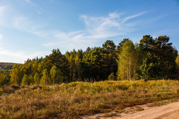 Sunny autumn landscape featuring vibrant forest foliage, a golden meadow, and a rustic dirt path under a clear blue sky. Nature's beauty unfolds serenely