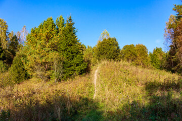 Fototapeta premium Winding dirt path ascends a sun-drenched hill amidst lush green and golden autumn trees, under a brilliant blue sky, showcasing nature's beauty