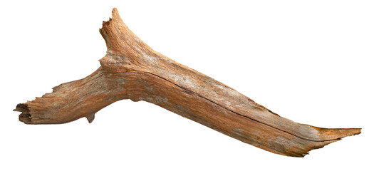 A dry branch of dead tree with cracked dark bark wood. Driftwood, aged branch isolated. Isolated wooden branch.	