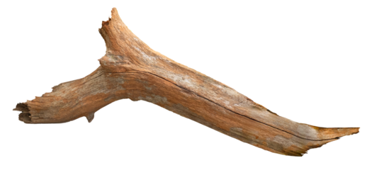 A dry branch of dead tree with cracked dark bark wood. Driftwood, aged branch isolated. Isolated wooden branch.	