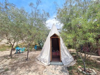 Tipi tent in the forest