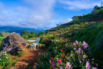 Scenic garden with vibrant flowers and white table set against terraced hills and blue sky