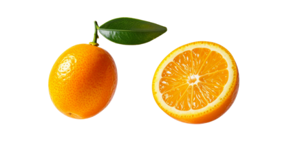 Dual Kumquat Compositions Representing Fresh Orange Citrus – isolated on transparent background