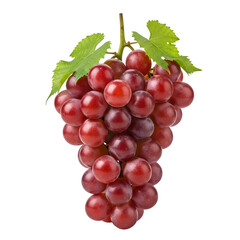 Fresh Bunch of Red Grapes Isolated on White or Transparent Background