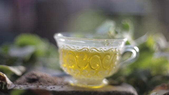 Green colored beneficial and ayurvedic and herbal tea of Carom leaves or bishop's weed or ajwain in a transparent cup with fresh leaves.