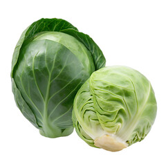 Fototapeta premium Fresh green cabbage resting on a bright background