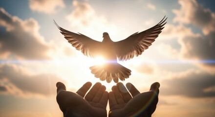 Dove taking flight from hands towards the sun, representing freedom and spirituality