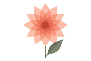 Pink geometric flower illustration with layered petals and green leaf on transparent background