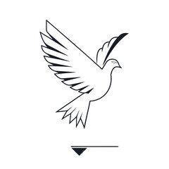 Dove outlined with triangle below it in white backdrop scene