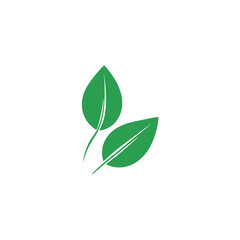 Flat Green Leaf Icon Collection Representing Nature, Ecology, and Fresh Organic Design Elements for Vector Illustration Use
