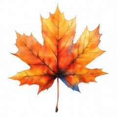 A vibrant orange and blue maple leaf showcases intricate details against a white backdrop