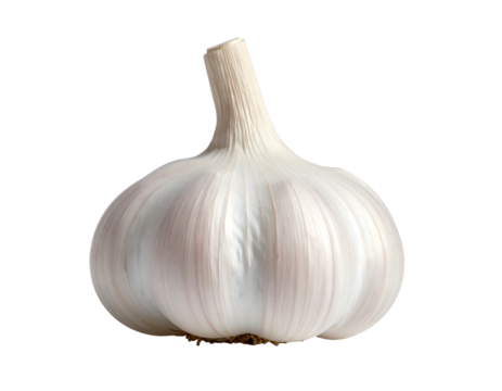 A head of garlic, round and white, against a solid black background