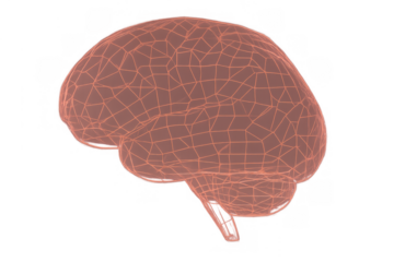 Human brain wireframe model representing artificial intelligence, neurology, science, and digital computing on transparent
