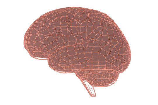 Human brain wireframe model representing artificial intelligence, neurology, science, and digital computing on transparent - Powered by Adobe