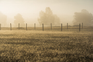 L&uuml;neburg Heath in autumn