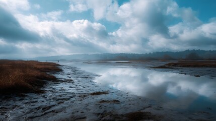 Obraz premium Atmospheric wetland landscape with cloudy sky and reflections on the water