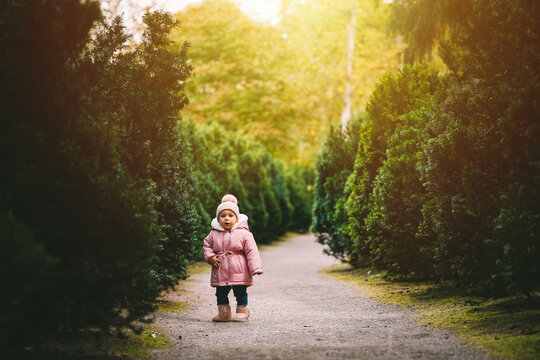 A beautiful little girl in pink warm clothes is walking in a park at sunset.