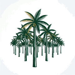 Group of Tall Palm Trees in a Tropical Setting.