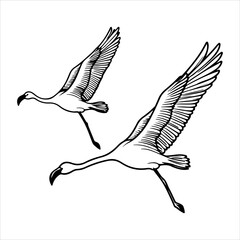 Digital Nature Graphic with Flying Bird Illustration Vector, The Colorful Flat Design Highlights Sky Travel and Dynamic Freedom for Marketing Visuals.