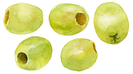 グリーンオリーブの実　水彩イラストセット