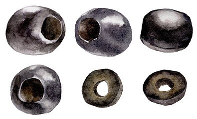 ブラックオリーブの水彩イラストセット